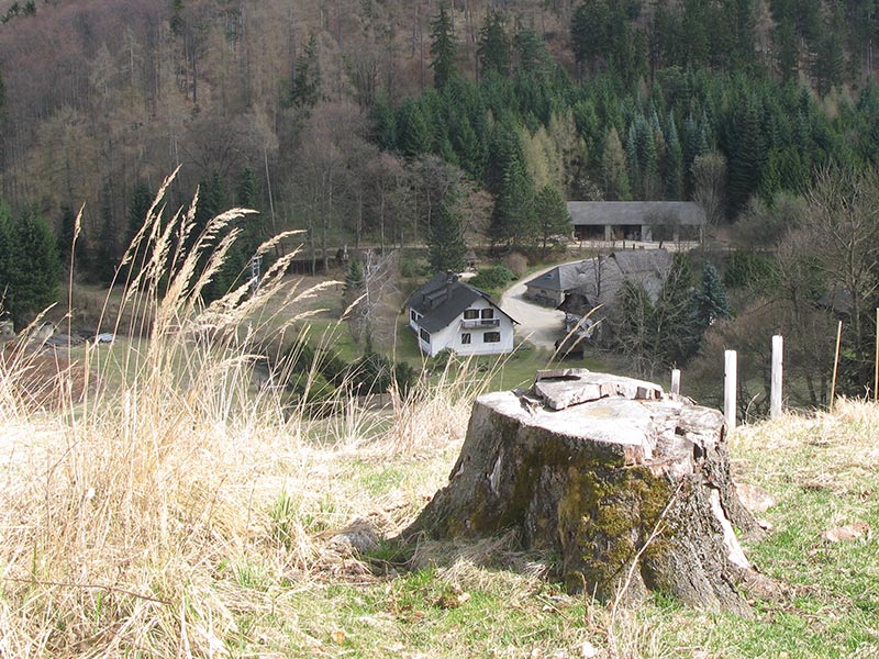 dunkelsteinerwald